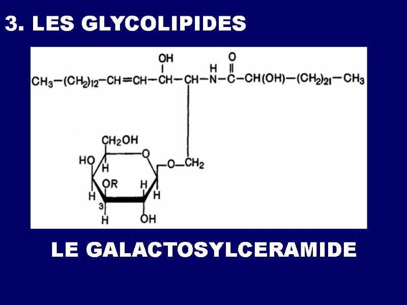 3. LES GLYCOLIPIDES  LE GALACTOSYLCERAMIDE